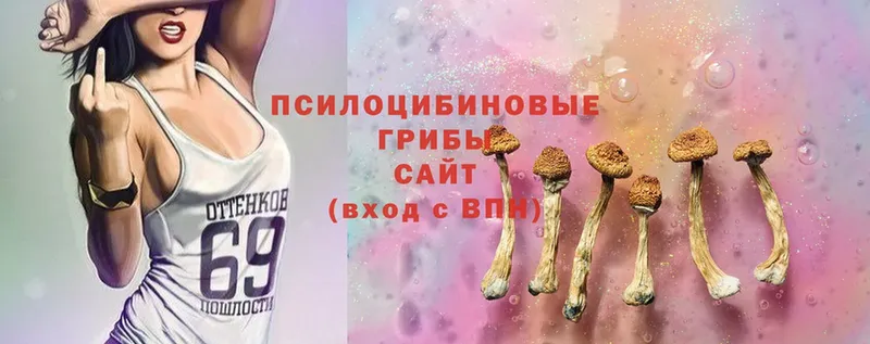 Псилоцибиновые грибы Psilocybine cubensis  Ялта 